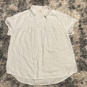 Terra & Sky Light Gray Button-Down Shirt